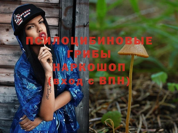 гидропоника Медвежьегорск